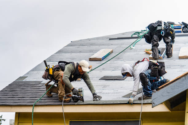 Professional Roofing technician working in Twain, CA